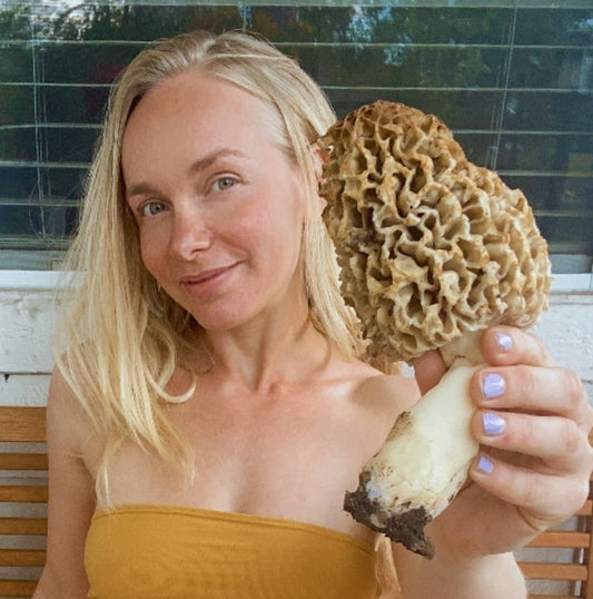 Finding Blonde Morels