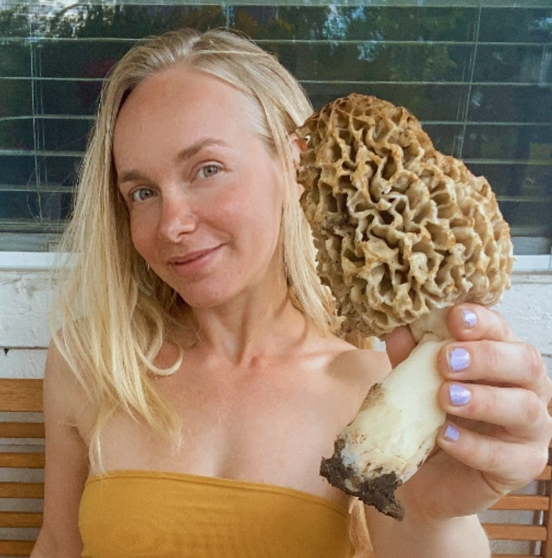Finding Blonde Morels