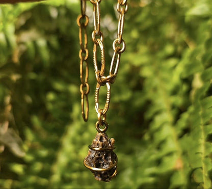 Tyrannosaurus Rex choker