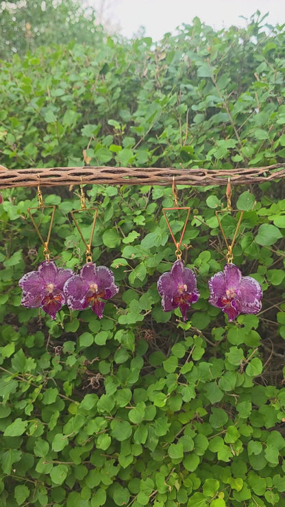 Pixie Orchid drops - Speckle