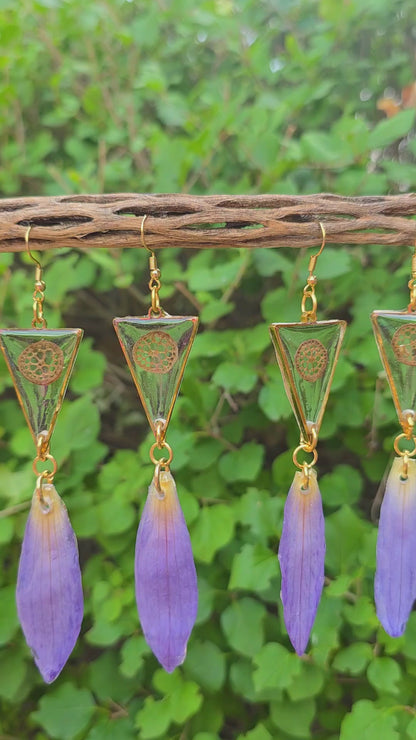 Blue Lotus drops