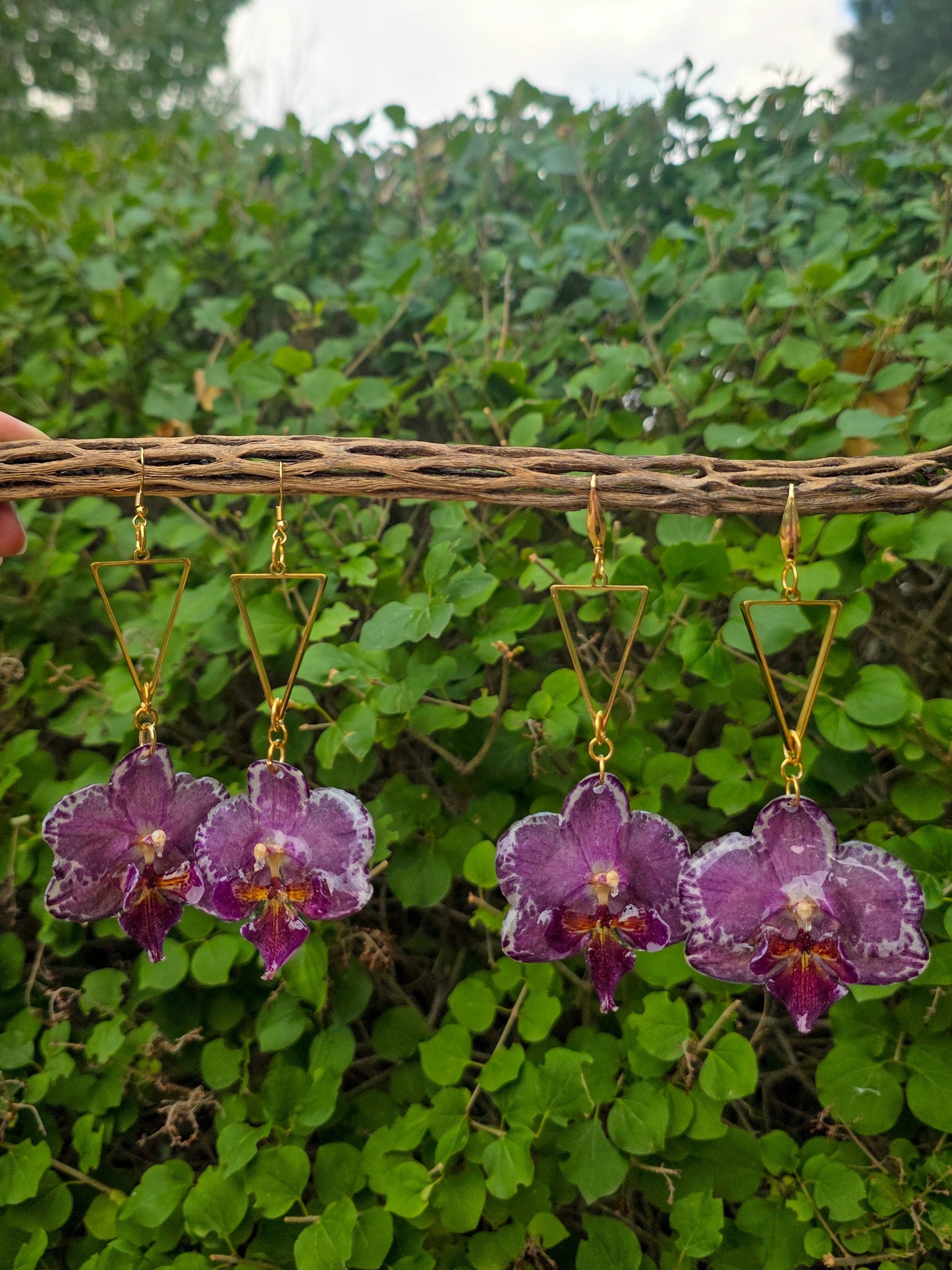 Pixie Orchid drops - Speckle