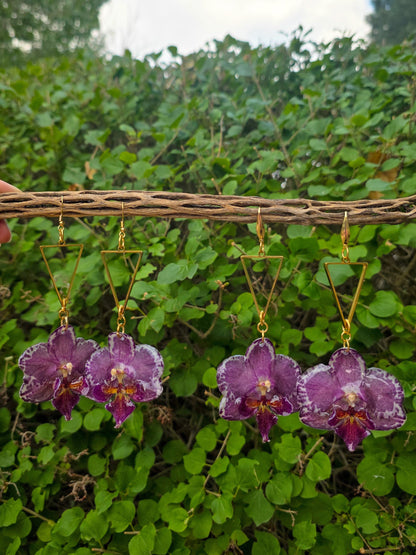 Pixie Orchid drops - Speckle