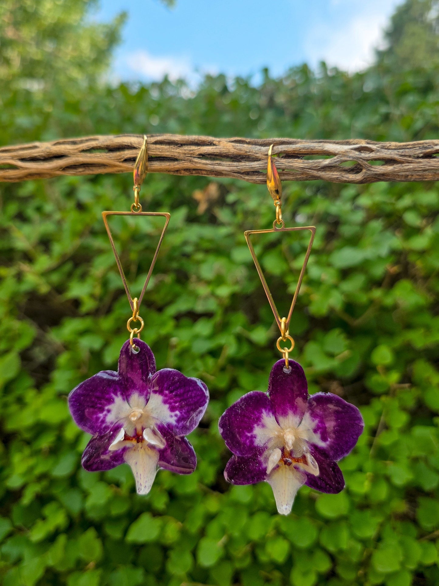 Pixie Orchid drops - Purple
